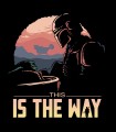 Camiseta The Way