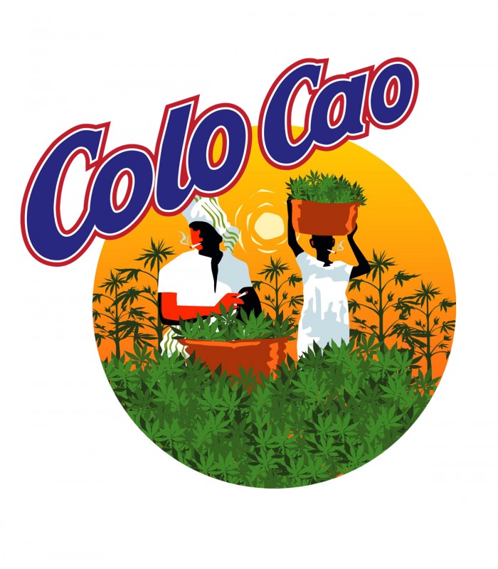 Camiseta Colo-Cao