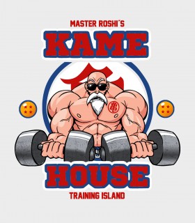 Camiseta Kame House