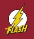 Camiseta original The Flash DC Comics TYS