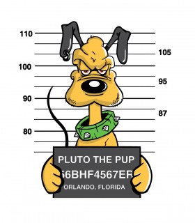 Camiseta TYS blanca pluto condena prisión