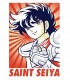 Camiseta original Caballeros del Zodiaco Saint Seiya Manga TYS