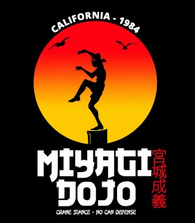 Camiseta Karate Dojo